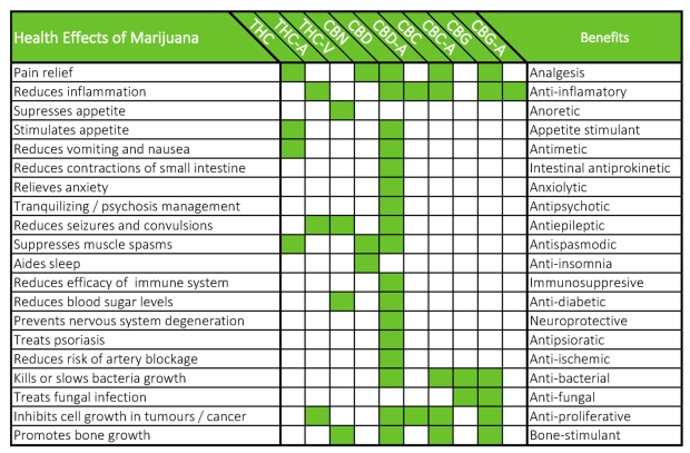 health-effects-of-marijuana
